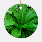 Vogelnest Fern Keramikornament (Hinten)