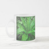 Vogelnest Fern Mattglastasse (Links)