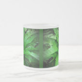 Vogelnest Fern Mattglastasse (Mittel)