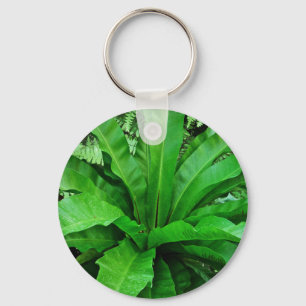 Vogelnest Fern Schlüsselanhänger