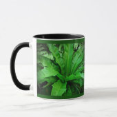 Vogelnest Fern Tasse (Links)
