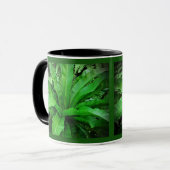 Vogelnest Fern Tasse (Vorderseite Links)