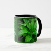 Vogelnest Fern Tasse (VorderseiteRechts)