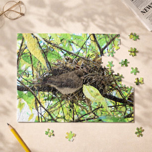 Vogelnest Foto Puzzle