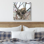 Vogelnest im Frühjahr Leinwanddruck (Insitu (Schlafzimmer))