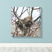 Vogelnest im Frühjahr Leinwanddruck (Insitu (Holzboden))