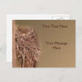 Vogelnest in Zaun-Natur Postkarte (Vorne/Hinten)