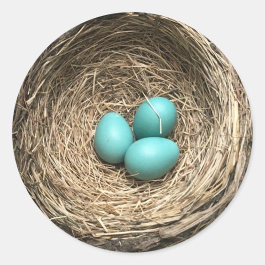 Vogelnest mit blauen Eiern Runder Aufkleber (Vorderseite)