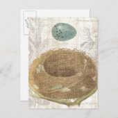 Vogelnest mit dekorativem Ei Postkarte (Vorne/Hinten)