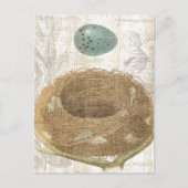 Vogelnest mit dekorativem Ei Postkarte (Vorderseite)