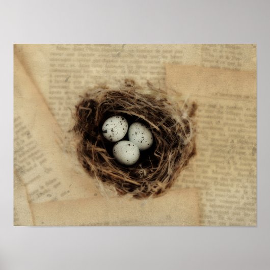 Vogelnest mit Eiern Moderne Vintage Ostern Poster (Vorne)