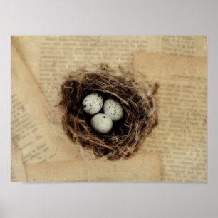 Vogelnest mit Eiern Modernes Vintage-Ostern Poster