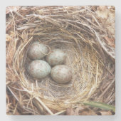 Vogelnest mit scharfen blauen Eiern Foto Steinuntersetzer (Vorderseite)
