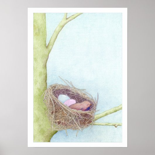 Vogelnest Poster (Vorne)