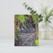 Vogelnest Postkarte (Stehend Vorderseite)