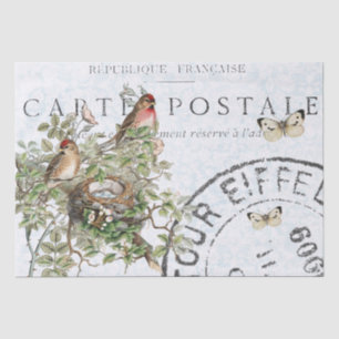 Vogelnest-Poststempel-Schmetterling Carte Postale Seidenpapier