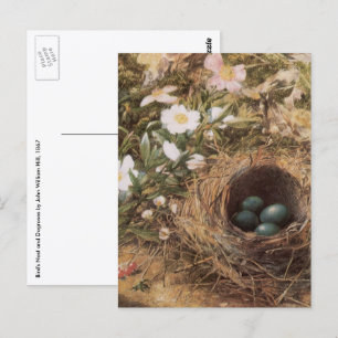 Vogelnest und Hundsrosen von John William Hill Postkarte