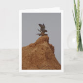 Vogelpaarung, Falco Tinnunculus Karte (Vorderseite)