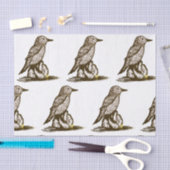 Vogelpapier für Entkopplung Seidenpapier (Handwerk)