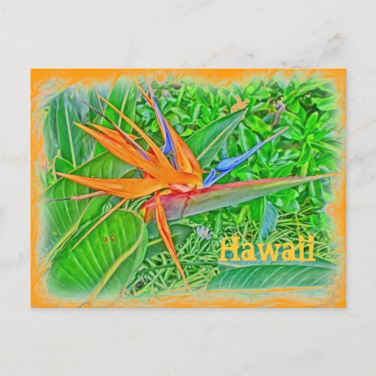 Vogelparadies Hawaii Postkarte (Vorderseite)