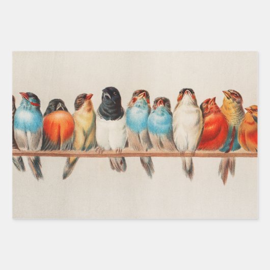 Vogelperspektive, Vogelkunst, Vogelkunst, Vogelkun Geschenkpapier Set (Vorderseite 2)