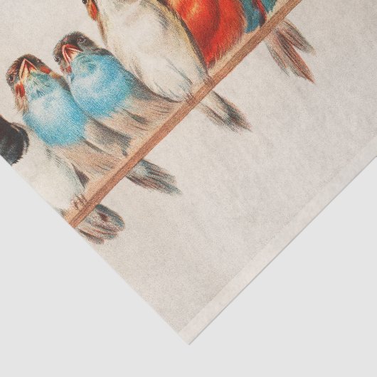 Vogelperspektive, Vogelkunst, Vogelkunst, Vogelkun Seidenpapier (Ausschnitt)