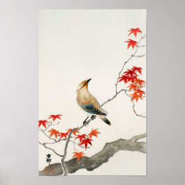 Vogelpest auf Ahorn von Ohara Koson Poster