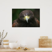 Vogelplakat 13 poster (Küche)