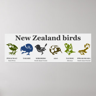 Vogelplakat aus Neuseeland Poster