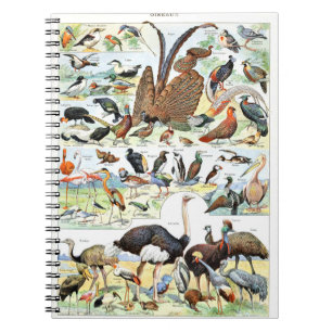 Vogelplakat Vintag Notizblock