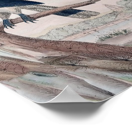 Vogelposter Poster (Ecke)