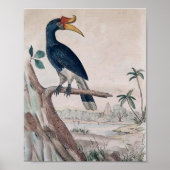 Vogelposter Poster (Vorne)