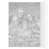 Vogelrahmen, eigene Fotos und Text individuell anp (Innen (Links))