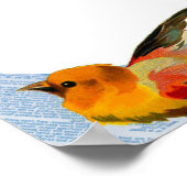 Vogelrahmen Poster (Ecke)