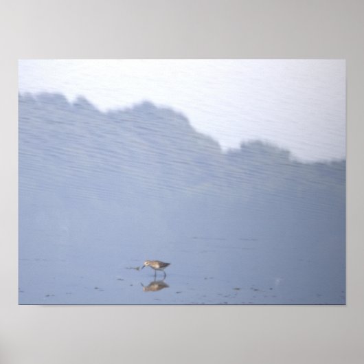 Vogelreflexionsposter Poster (Vorne)