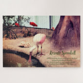 Vogelroseate Spoonbill Puzzle (Horizontal)