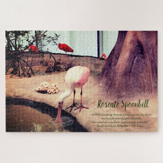 Vogelroseate Spoonbill Puzzle (Horizontal)