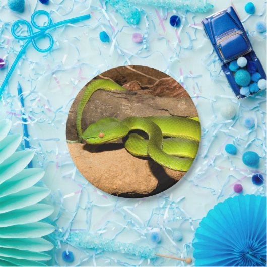 Vogels Gruben-Viper Pappteller (Party)