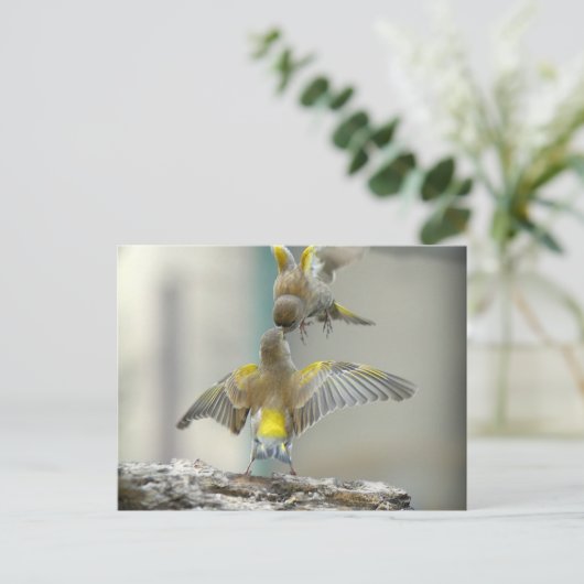 Vogels Postkarte (Stehend Vorderseite)