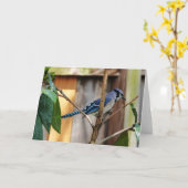Vogelsammlung: Blaue Jay (Blankonotizen) Karte (Gelbe Blume)