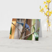Vogelsammlung: Blaue Jay (Blankonotizen) Karte (Gelbe Blume)