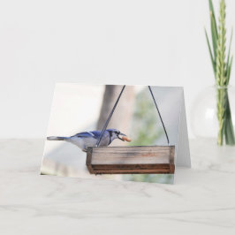 Vogelsammlung: Blaue Jay (Blankonotizen) Karte