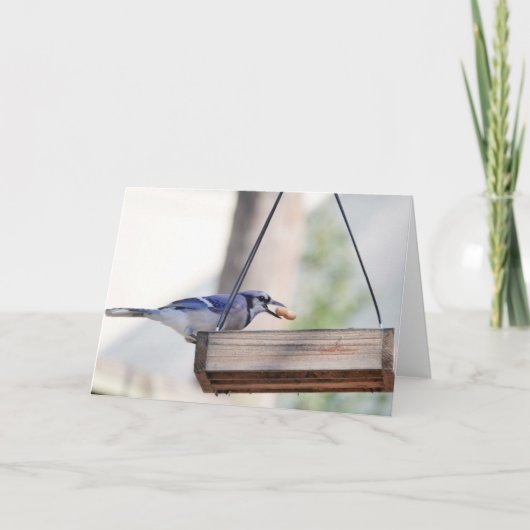 Vogelsammlung: Blaue Jay (Blankonotizen) Karte (Vorderseite)