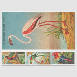 Vogelsammlung Flamingo 2c Vintage Decoupage Seidenpapier