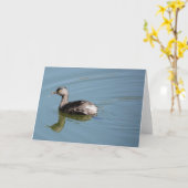 Vogelsammlung: Geringster Grill (Blankonoten) Karte (Gelbe Blume)