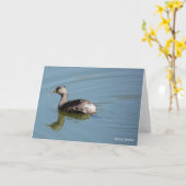 Vogelsammlung: Geringster Grill (Blankonoten) Karte (Gelbe Blume)