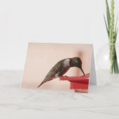 Vogelsammlung: Hummingbird (leere Notizen) Karte (Vorderseite)