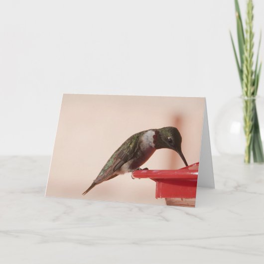 Vogelsammlung: Hummingbird (leere Notizen) Karte (Vorderseite)