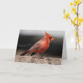 Vogelsammlung: Nordischer Kardinal (Blankonoten) Karte (Gelbe Blume)
