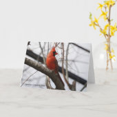 Vogelsammlung: Nordischer Kardinal (Blankonoten) Karte (Gelbe Blume)